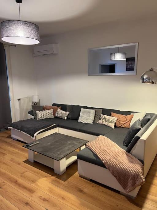 Appartement 2 Chambres ナルボンヌ エクステリア 写真